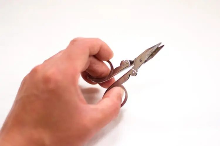 耳毛の正しい処理方法